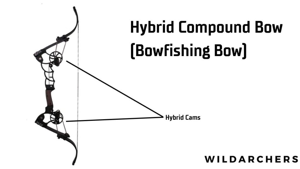 Hybrid Compound Bow