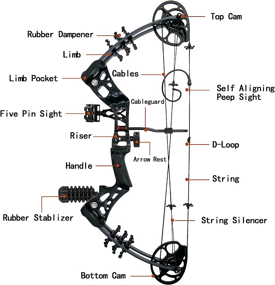 How To Choose A Compound Bow