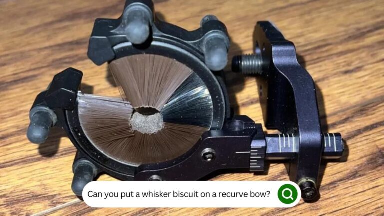 Can You Put A Whisker Biscuit On A Recurve Bow?